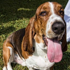 Meet your Posher, Denise